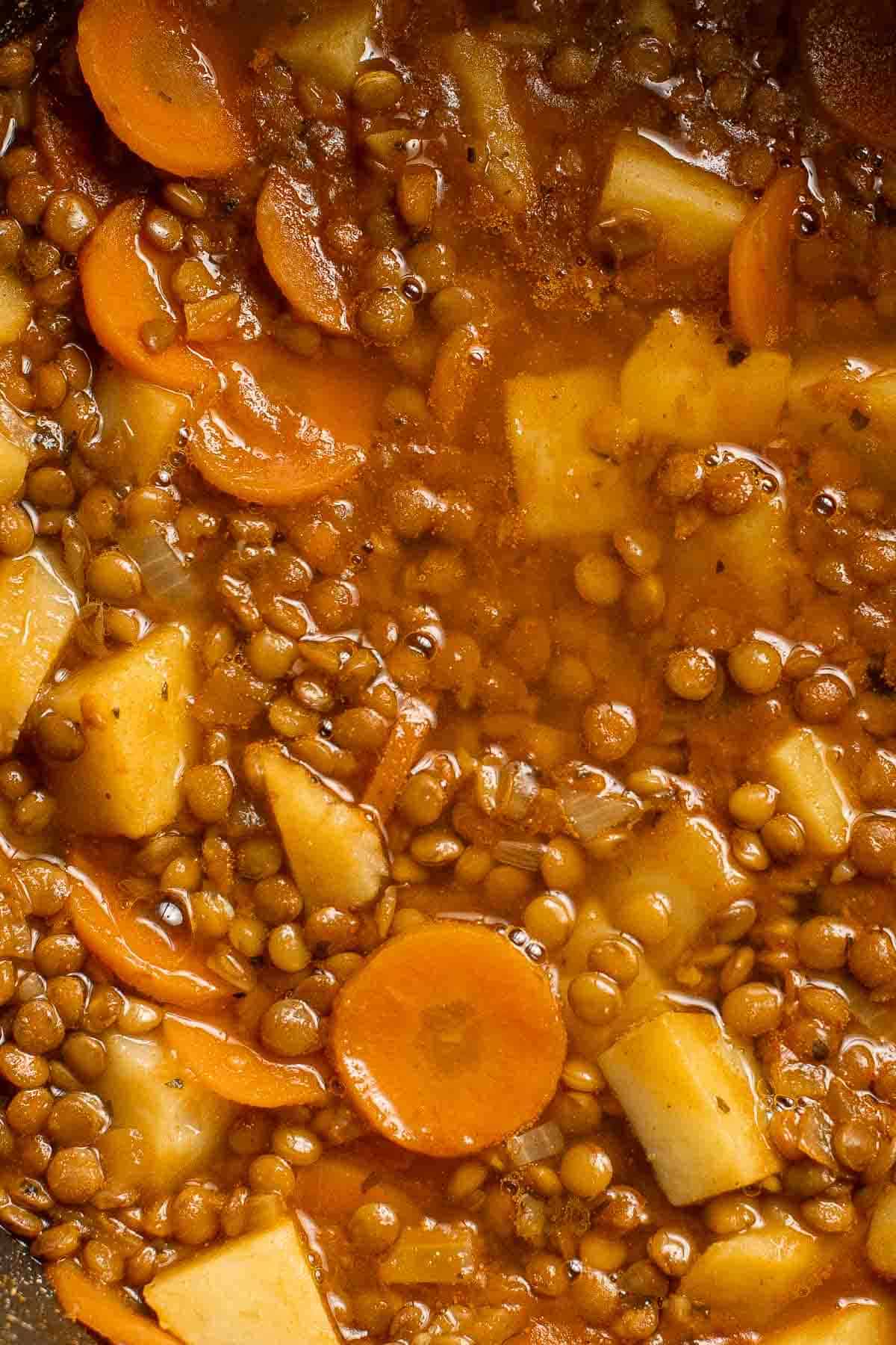 Lentil Stew is a hearty and filling vegan meal loaded with vegetables like carrots and potatoes. This well seasoned vegetarian stew is ready in 45 minutes. | aheadofthyme.com