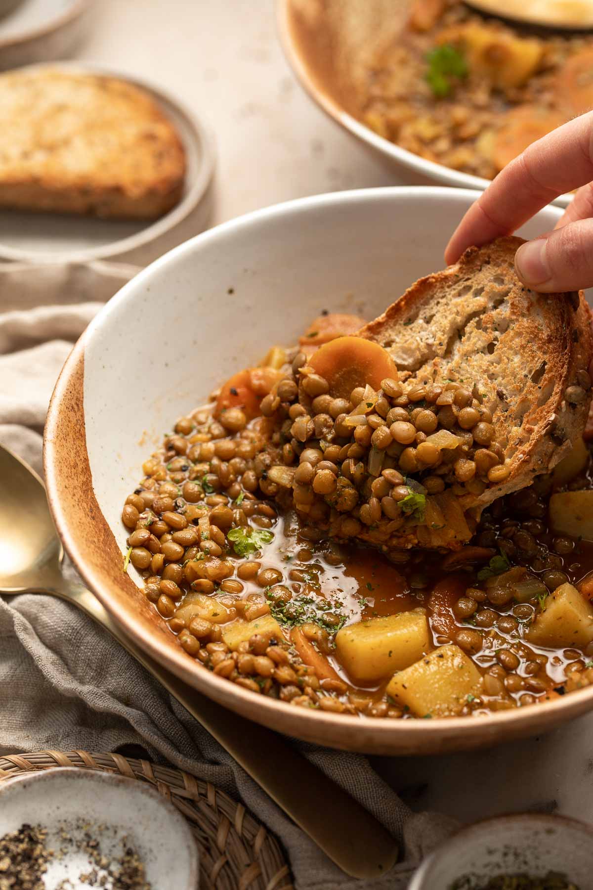 Lentil Stew is a hearty and filling vegan meal loaded with vegetables like carrots and potatoes. This well seasoned vegetarian stew is ready in 45 minutes. | aheadofthyme.com