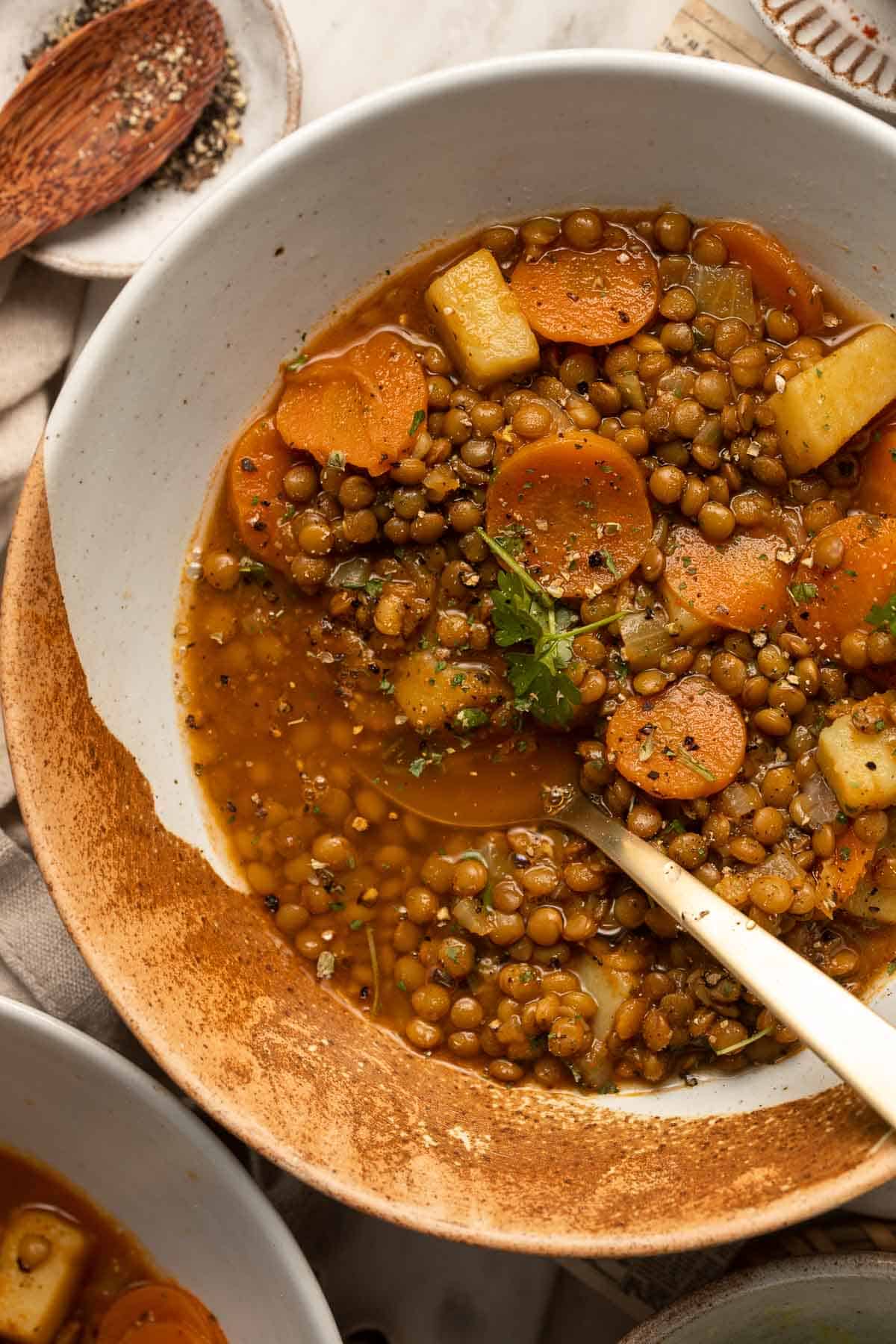 Lentil Stew is a hearty and filling vegan meal loaded with vegetables like carrots and potatoes. This well seasoned vegetarian stew is ready in 45 minutes. | aheadofthyme.com