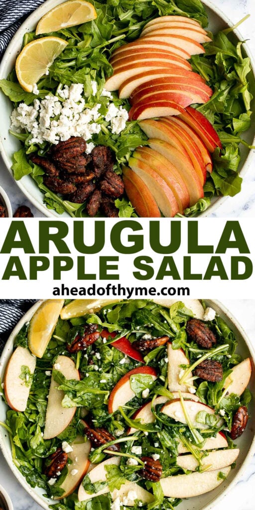 Arugula salad with apple and pecan is a quick and easy fall salad made with fresh seasonal ingredients in just minutes. Perfect for a holiday dinner table. | aheadofthyme.com