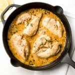 Delicious creamy skillet chicken with lemon garlic sauce is a one-skillet meal that is ready in 30 minutes. It's garlicky, saucy, creamy, and so flavourful. | aheadofthyme.com