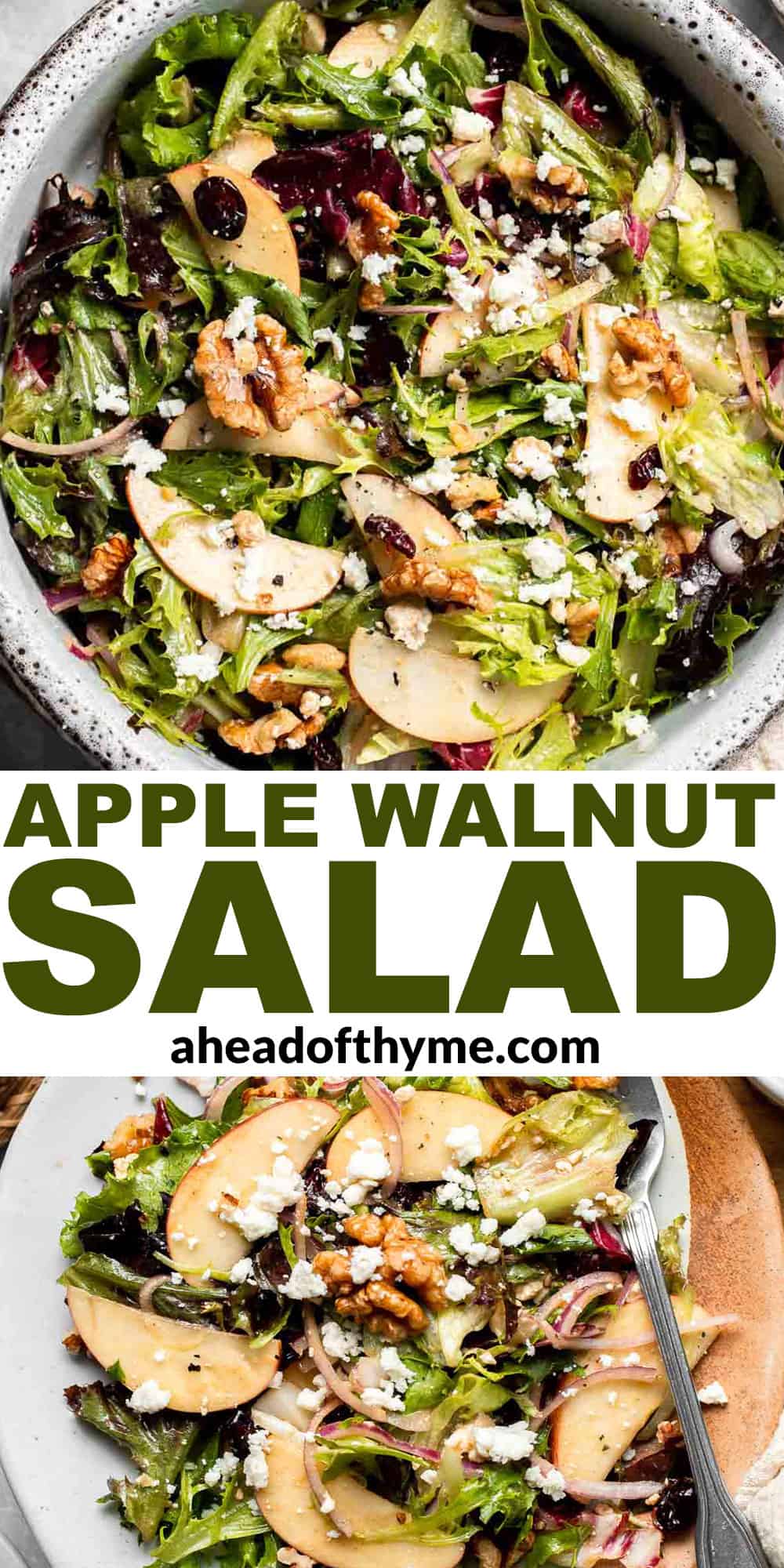 Delicious apple walnut salad with crisp apples, crunchy walnuts, and tangy balsamic vinaigrette. A healthy, easy side dish or lunch! | aheadofthyme.com