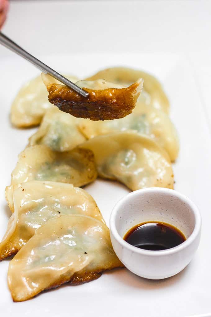 Easy-to-make Chinese beef dumplings with celery can be made in advance for a stress-free meal. Enjoy these steamed, boiled or pan-fried! | aheadofthyme.com