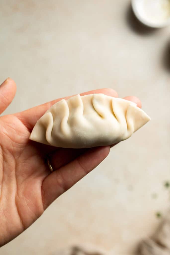 Chinese Beef Dumplings are filled with juicy ground beef, finely chopped celery, and a blend of aromatic seasonings. Make them steamed, boiled or pan-fried! | aheadofthyme.com