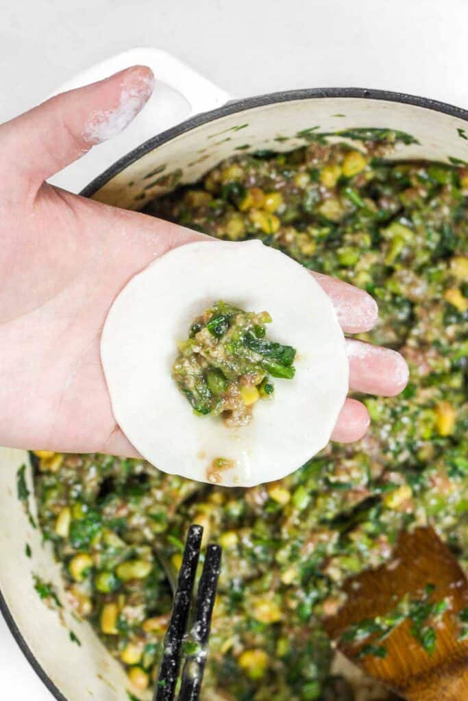 Chinese Beef Dumplings are filled with juicy ground beef, finely chopped celery, and a blend of aromatic seasonings. Make them steamed, boiled or pan-fried! | aheadofthyme.com