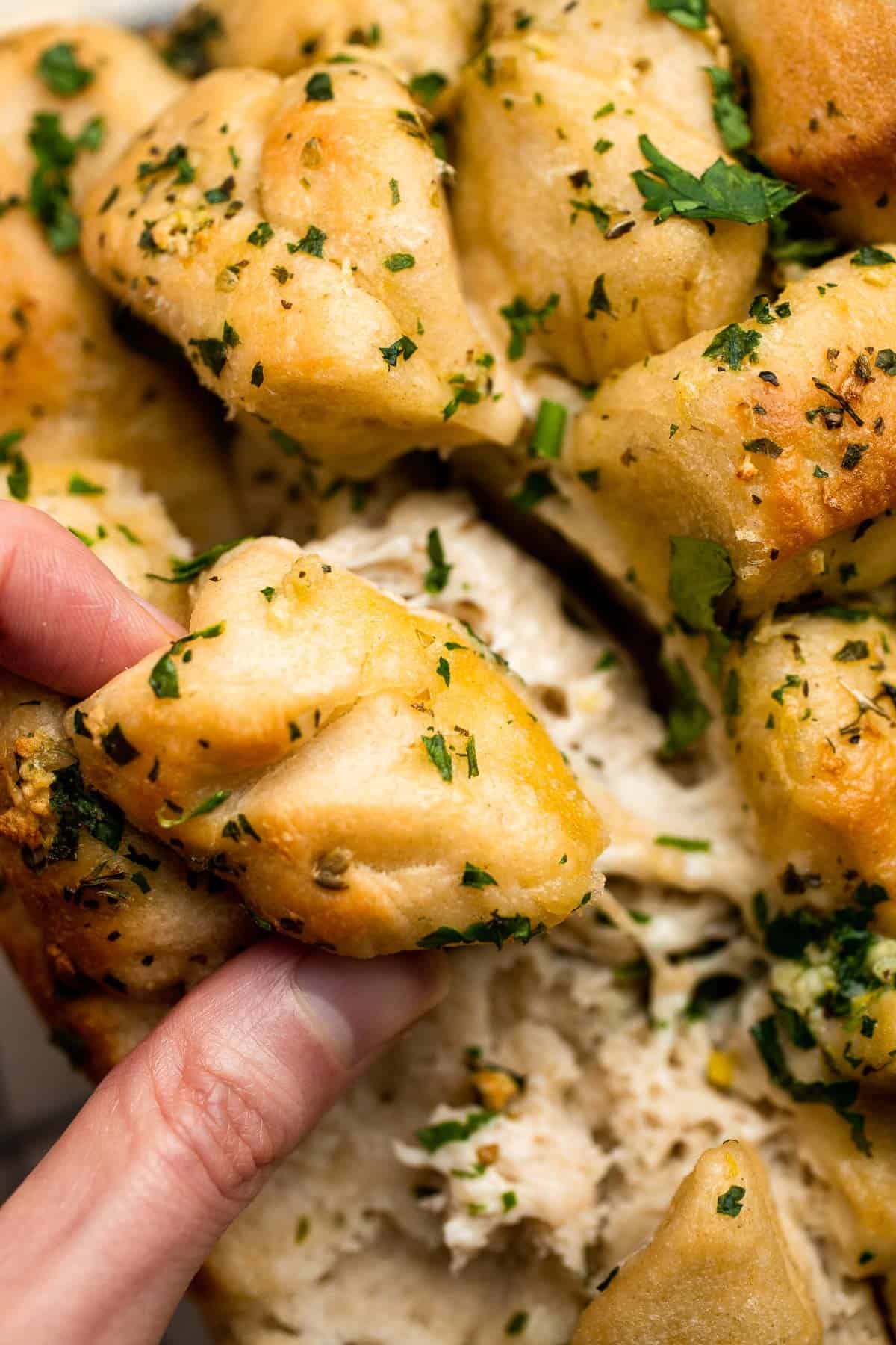 Homemade Pull Apart Garlic Bread is fluffy, buttery, flavourful, and tears easily for optimal sharing. You won't be able to stop grabbing these bites! | aheadofthyme.com