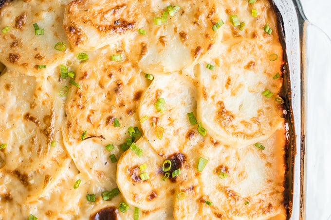 Creamy Potatoes Au Gratin
