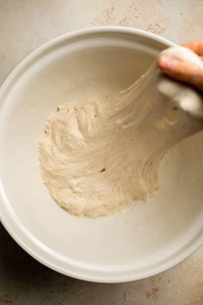 Easy small batch Ciabatta Rolls are fluffy and airy with a perfect crunchy, crackly crust. They take only 10 minutes to prepare and require no kneading. | aheadofthyme.com