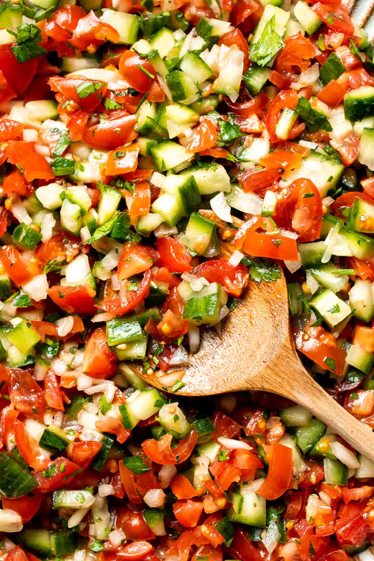 Persian Shirazi Salad with cucumber and tomato is a healthy, light, and simple salad packed with herbs and tossed in an olive oil lime dressing. | aheadofthyme.com