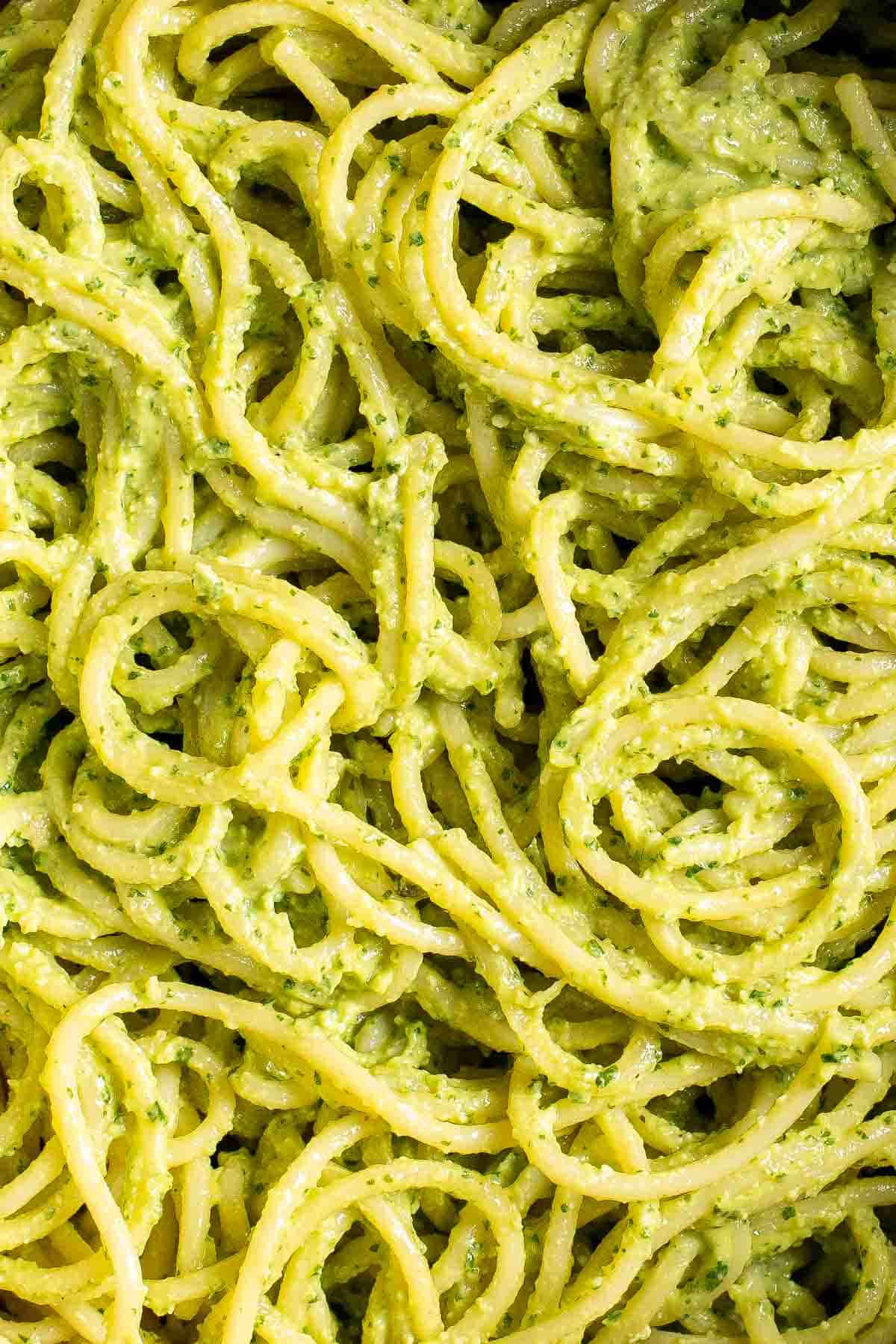 This creamy Avocado Pesto Pasta is healthy, light, and delicious. This quick and easy vegan pasta comes together in just 15 minutes (including prep!). | aheadofthyme.com