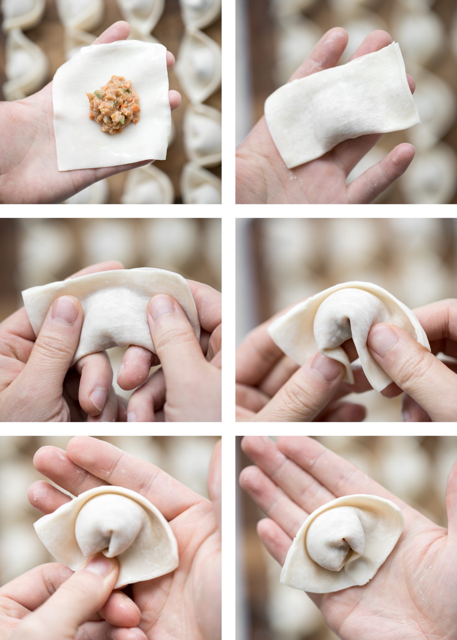 Pan-Fried Pork and Shrimp Wontons - Ahead of Thyme