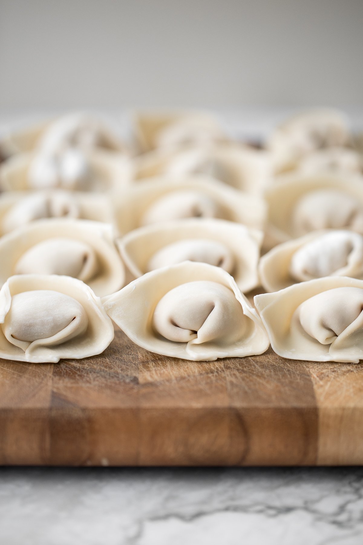 Pan-Fried Pork and Shrimp Wontons - Ahead of Thyme