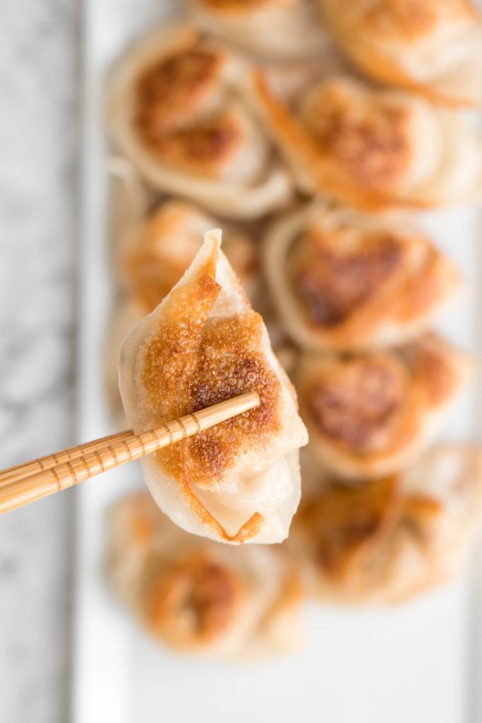 Better than takeout pan-fried pork and shrimp wontons are so crispy outside and tender and juicy inside with a savoury pork, shrimp and vegetable filling. | aheadofthyme.com