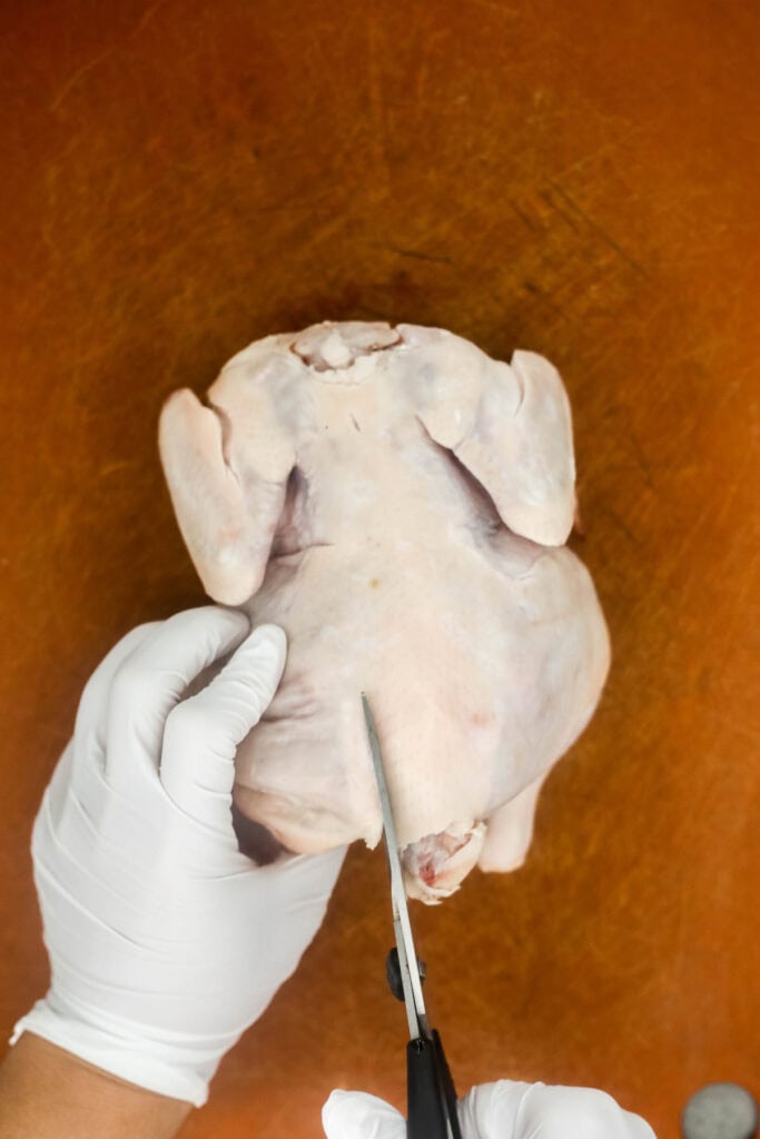 Roasted spatchcock chicken, also called butterflied chicken, cooks faster, stays juicy, and delivers perfectly crispy skin every time. | aheadofthyme.com