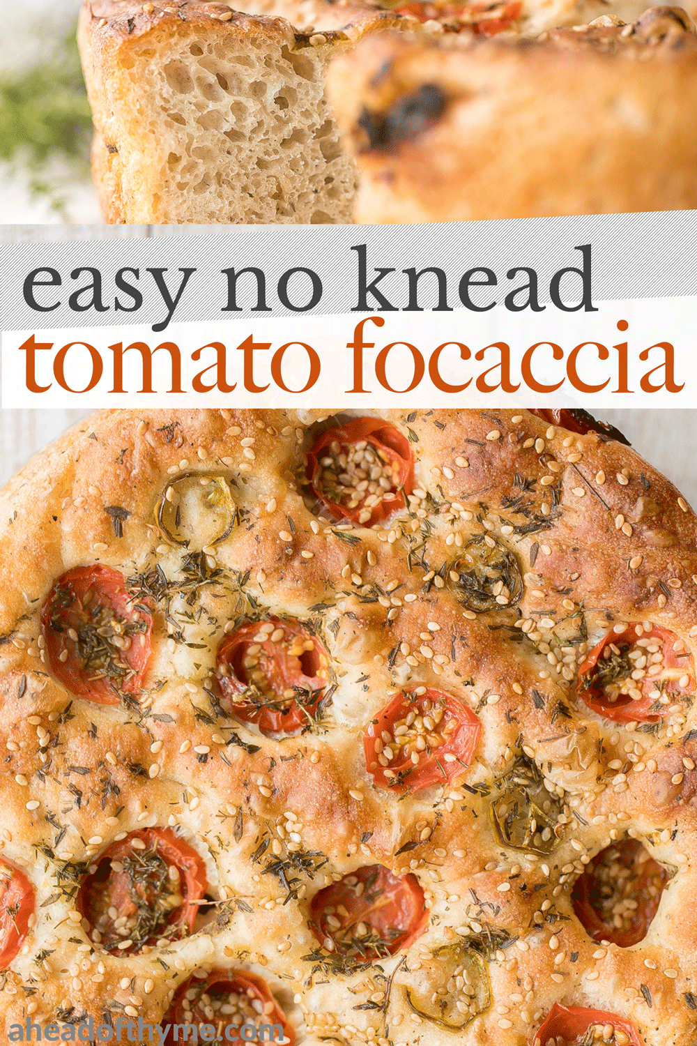Easy No Knead Tomato Focaccia