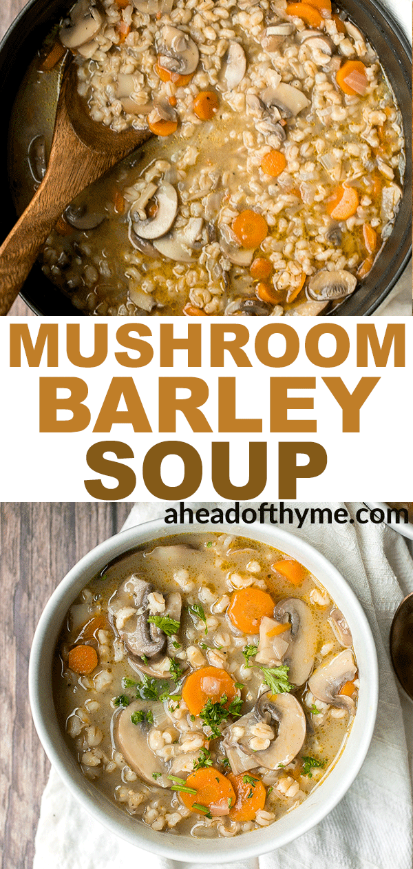 Vegetarian Mushroom Barley Soup