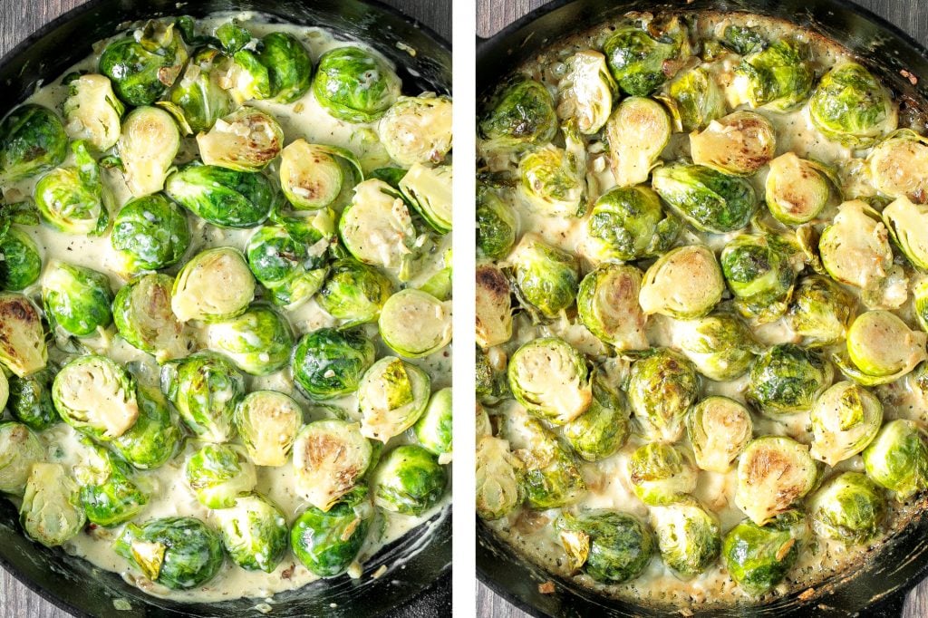 Delicious, garlicky, cheesy and creamy brussels sprouts bake is the ultimate comfort food side dish. So flavourful and the best way to eat brussels sprouts. | aheadofthyme.com