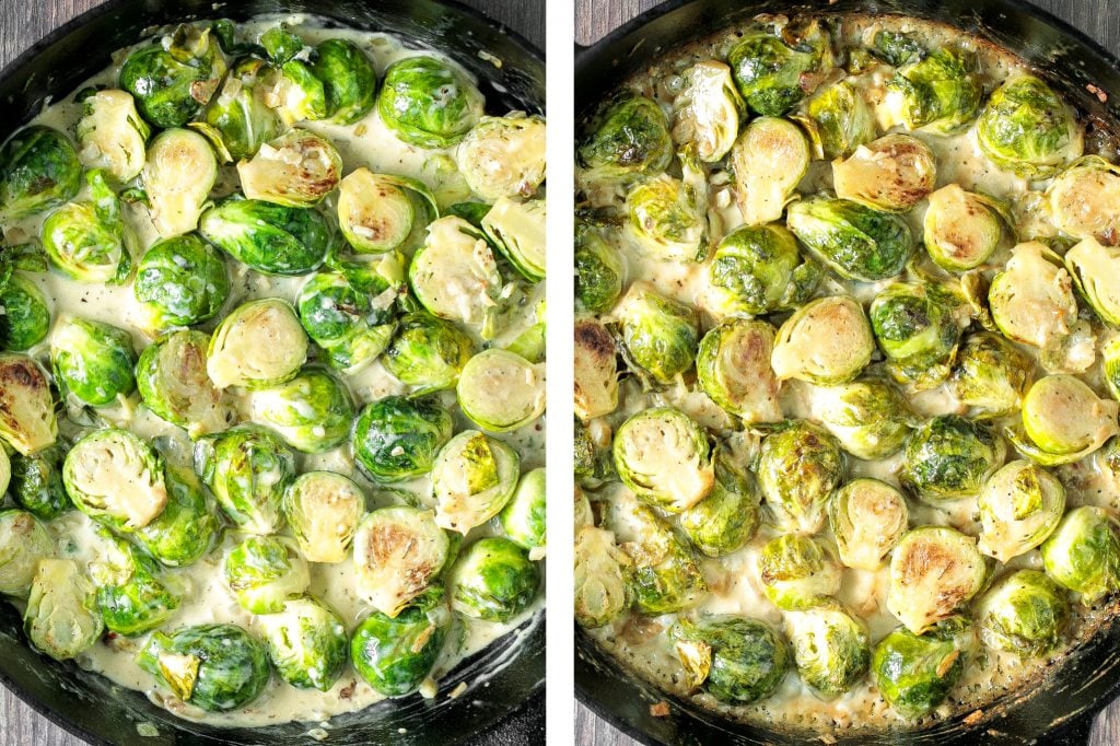 Delicious, garlicky, cheesy and creamy brussels sprouts bake is the ultimate comfort food side dish. So flavourful and the best way to eat brussels sprouts. | aheadofthyme.com