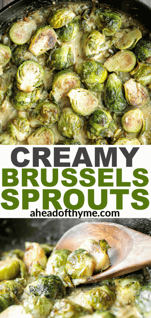 Delicious, garlicky, cheesy and creamy brussels sprouts bake is the ultimate comfort food side dish. So flavourful and the best way to eat brussels sprouts. | aheadofthyme.com