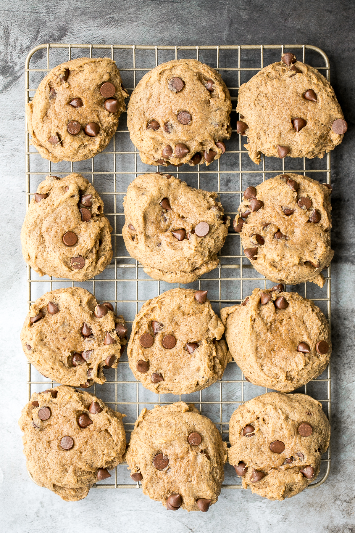 Thick, fluffy, chewy pumpkin chocolate chip cookies is when pumpkin bread meets chocolate chip cookies. These no chill cookies are ready in under 20 mins. | aheadofthyme.com