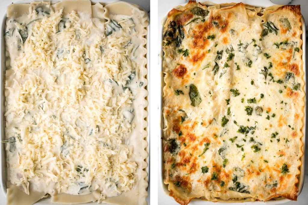 Creamy white chicken and spinach lasagna with tender shredded chicken is the most comforting creamiest cheesiest white lasagna. Easy to make ahead & freeze. | aheadofthyme.com