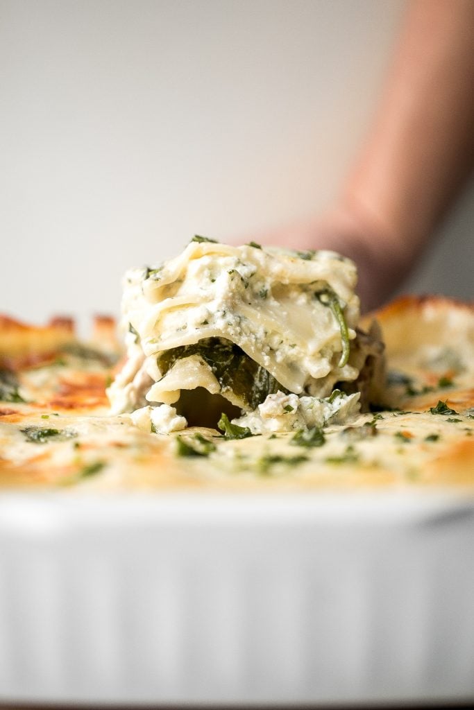 Creamy white chicken and spinach lasagna with tender shredded chicken is the most comforting creamiest cheesiest white lasagna. Easy to make ahead & freeze. | aheadofthyme.com