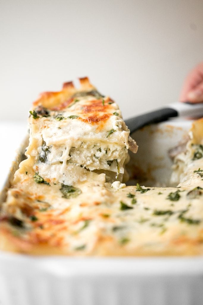 Creamy white chicken and spinach lasagna with tender shredded chicken is the most comforting creamiest cheesiest white lasagna. Easy to make ahead & freeze. | aheadofthyme.com