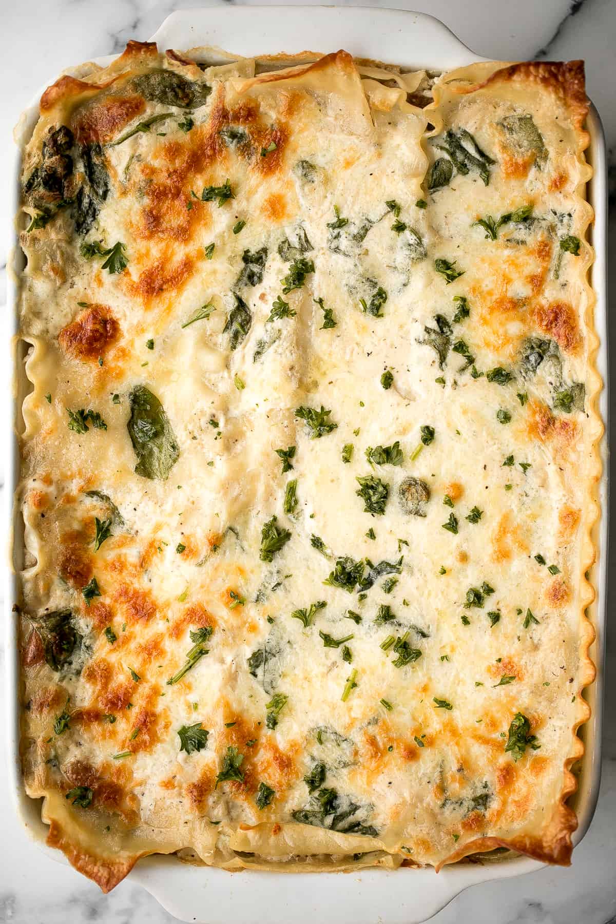 Creamy white chicken and spinach lasagna with tender shredded chicken is the most comforting creamiest cheesiest white lasagna. Easy to make ahead & freeze. | aheadofthyme.com