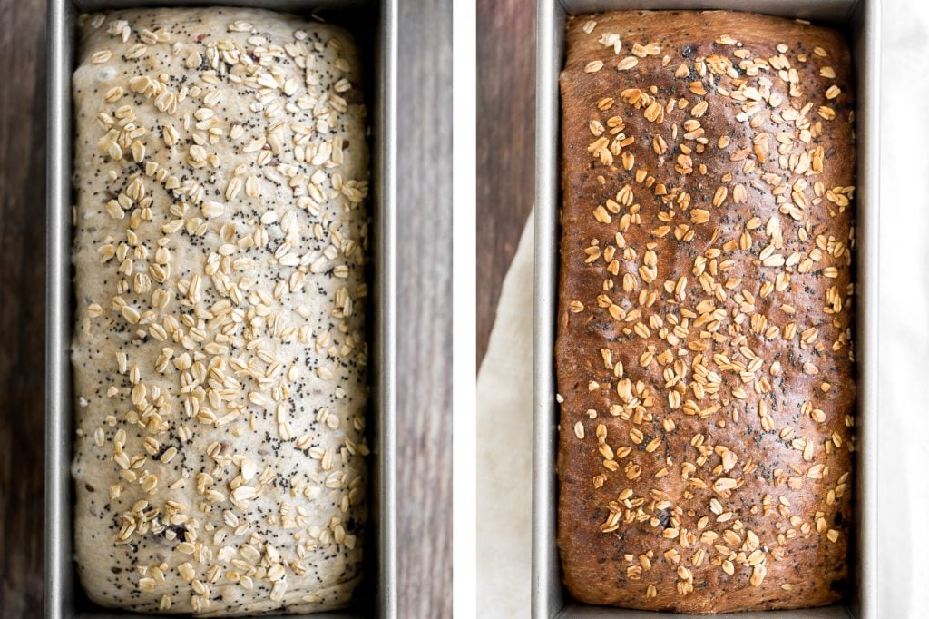 Whole wheat cranberry bread is chewy, fluffy and airy, packed with dried cranberries and seeds, and has a perfect crunchy crust topped with oats and seeds. | aheadofthyme.com
