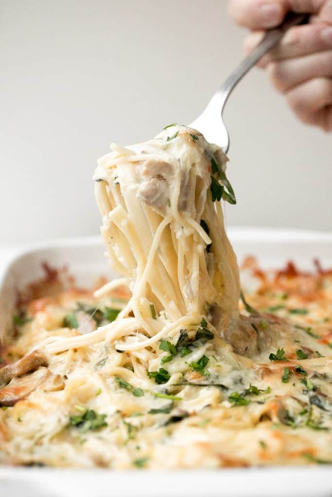 Cremige übrig gebliebene Truthahn-Tetrazzini mit Spinat sind ein einfaches, leichtes und leckeres Nudelrezept, das beruhigend, cremig und käsig ist. Es ist ein Familienfavorit. | aheadofthyme.com's a family favourite. | aheadofthyme.com