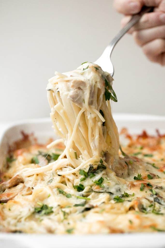 Creamy leftover turkey tetrazzini with spinach is a simple, easy and delicious pasta recipe that is comforting, creamy and cheesy. It's a family favourite. | aheadofthyme.com