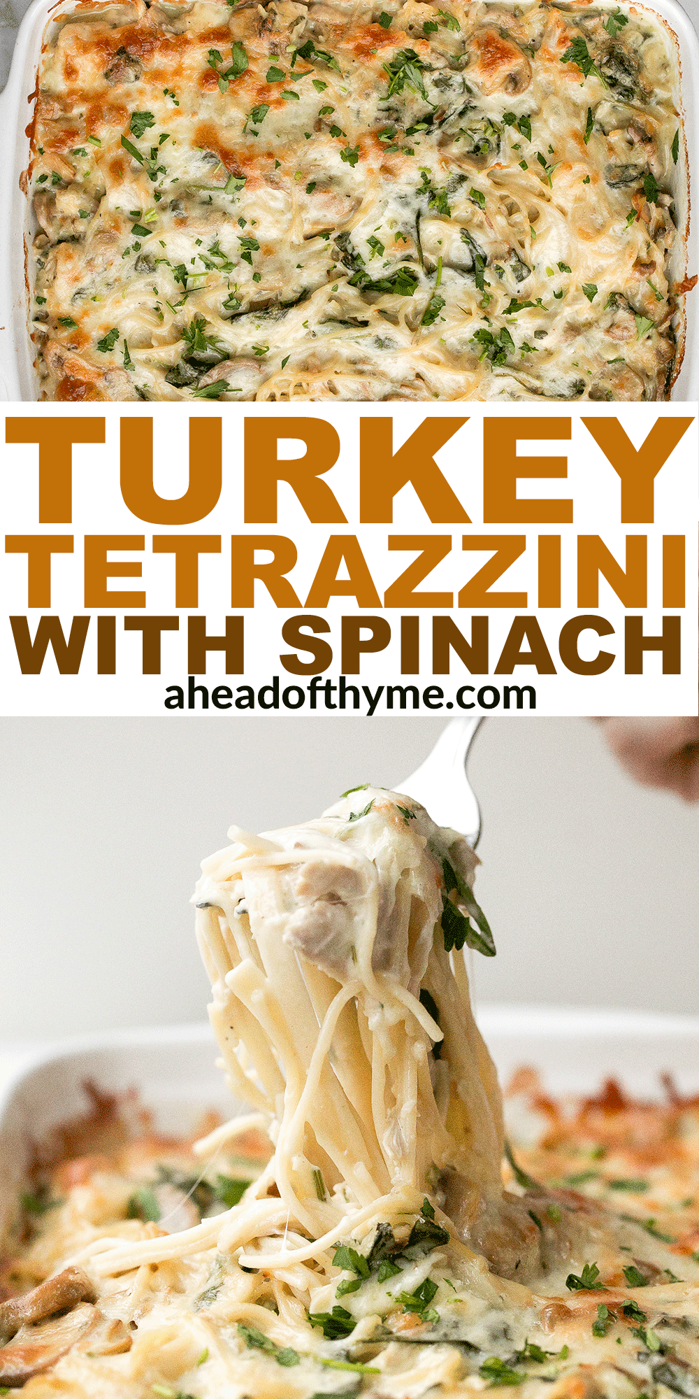 Turkey Tetrazzini with Spinach