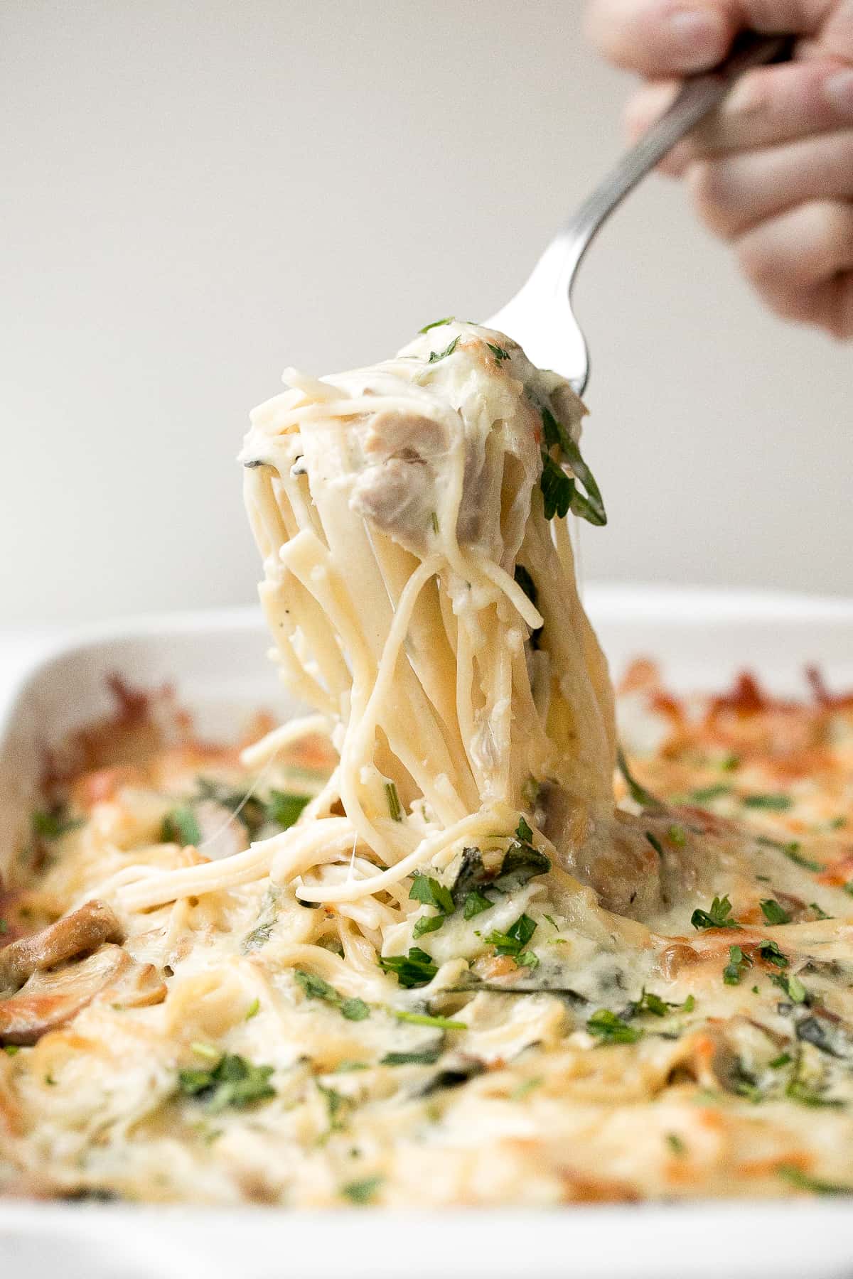 Creamy leftover turkey tetrazzini with spinach is a simple, easy and delicious pasta recipe that is comforting, creamy and cheesy. It's a family favourite. | aheadofthyme.com