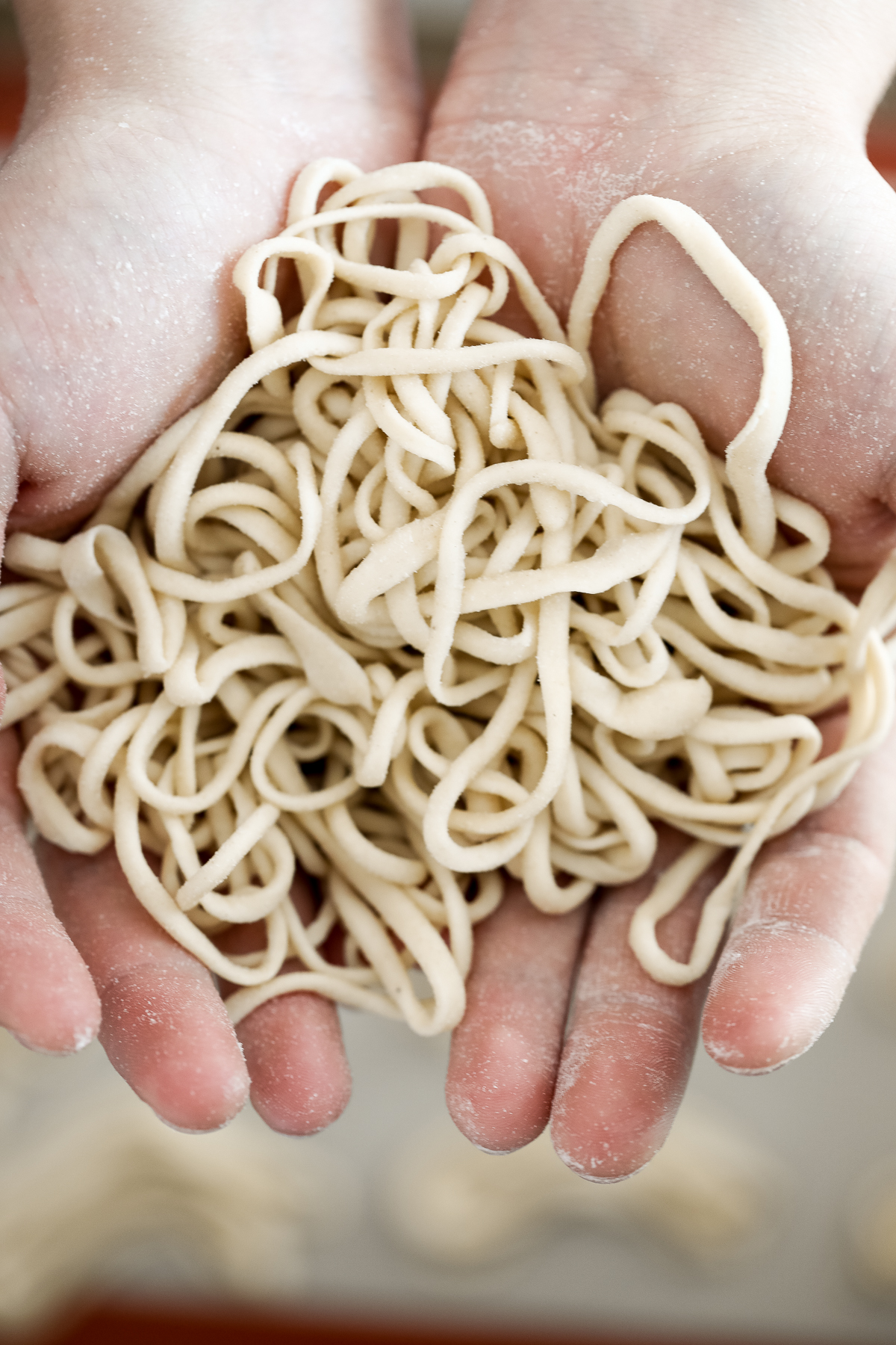 Hand-Pulled Noodles - Ahead of Thyme