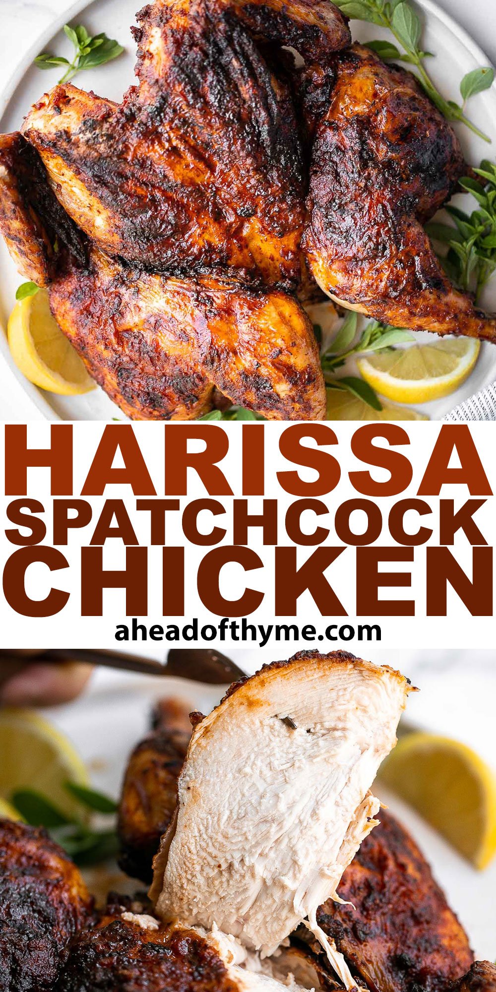 Harissa Spatchcock Chicken