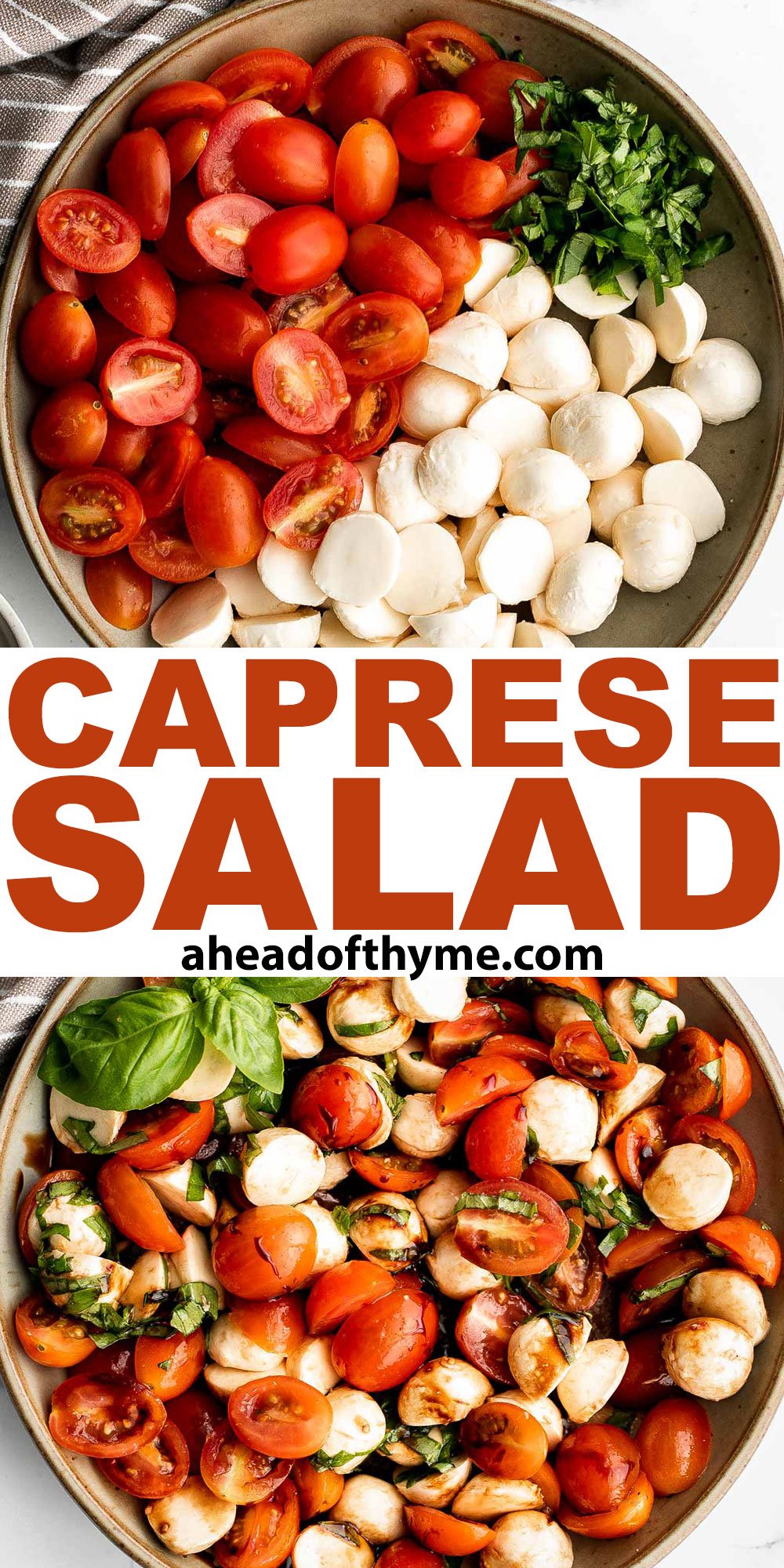 Tomato and Mozzarella Caprese Salad