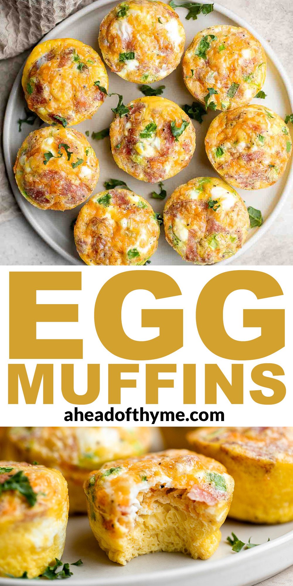 Egg Muffins