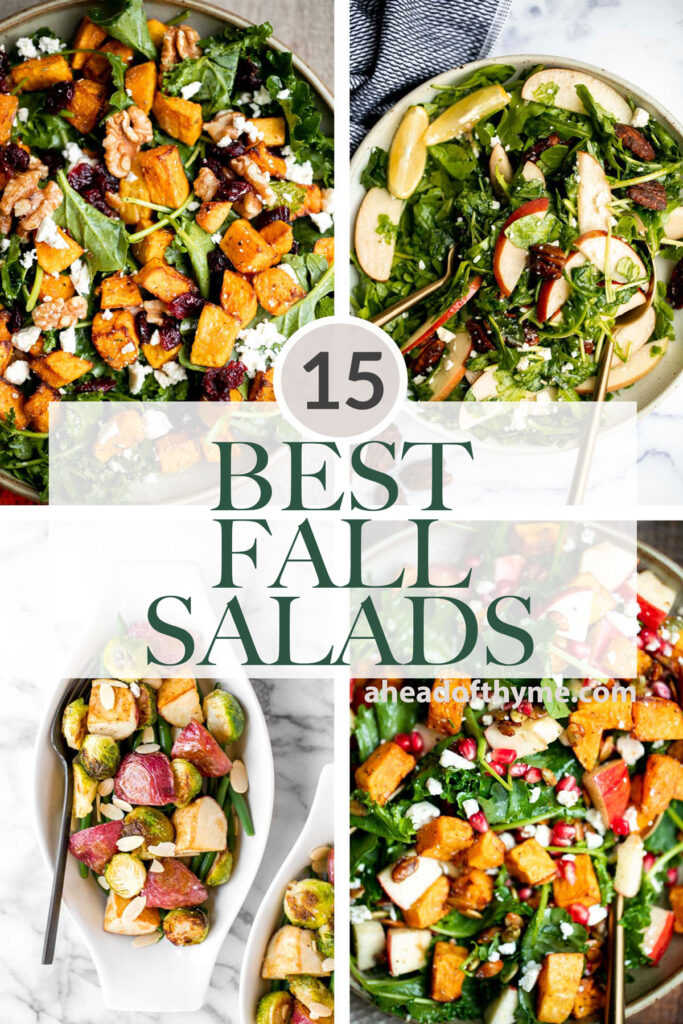 Over 15 of the best fall salad recipes including butternut squash salads, apple salads, roasted vegetable salads, warm salads, and more! | aheadofthyme.com