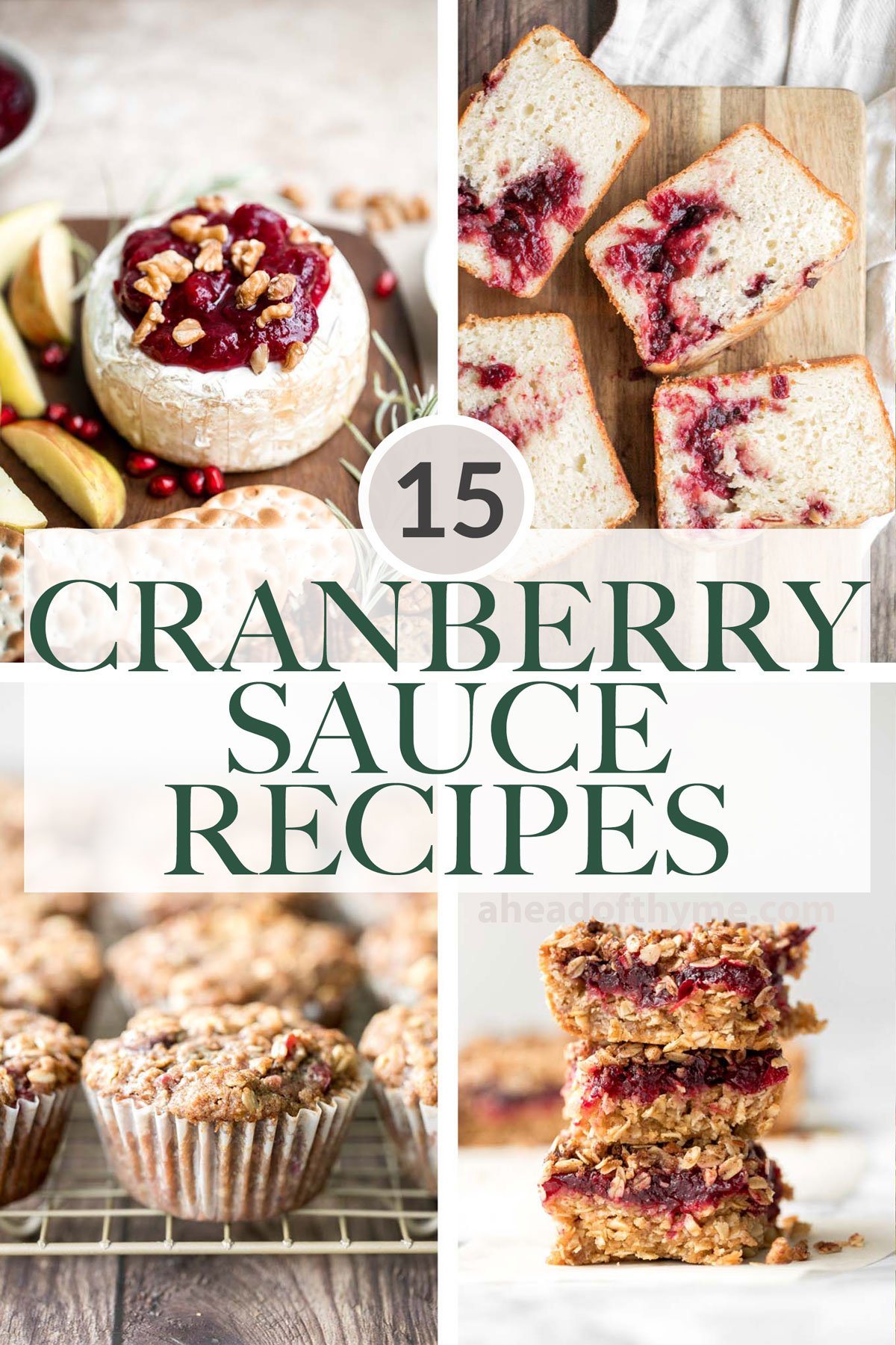15 Leftover Cranberry Sauce Recipes