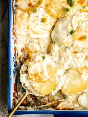 Scalloped potatoes are a creamy, cheesy, indulgent side dish that will make cheese lovers swoon. Every bite is savory, rich, comforting, and delicious. | aheadofthyme.com