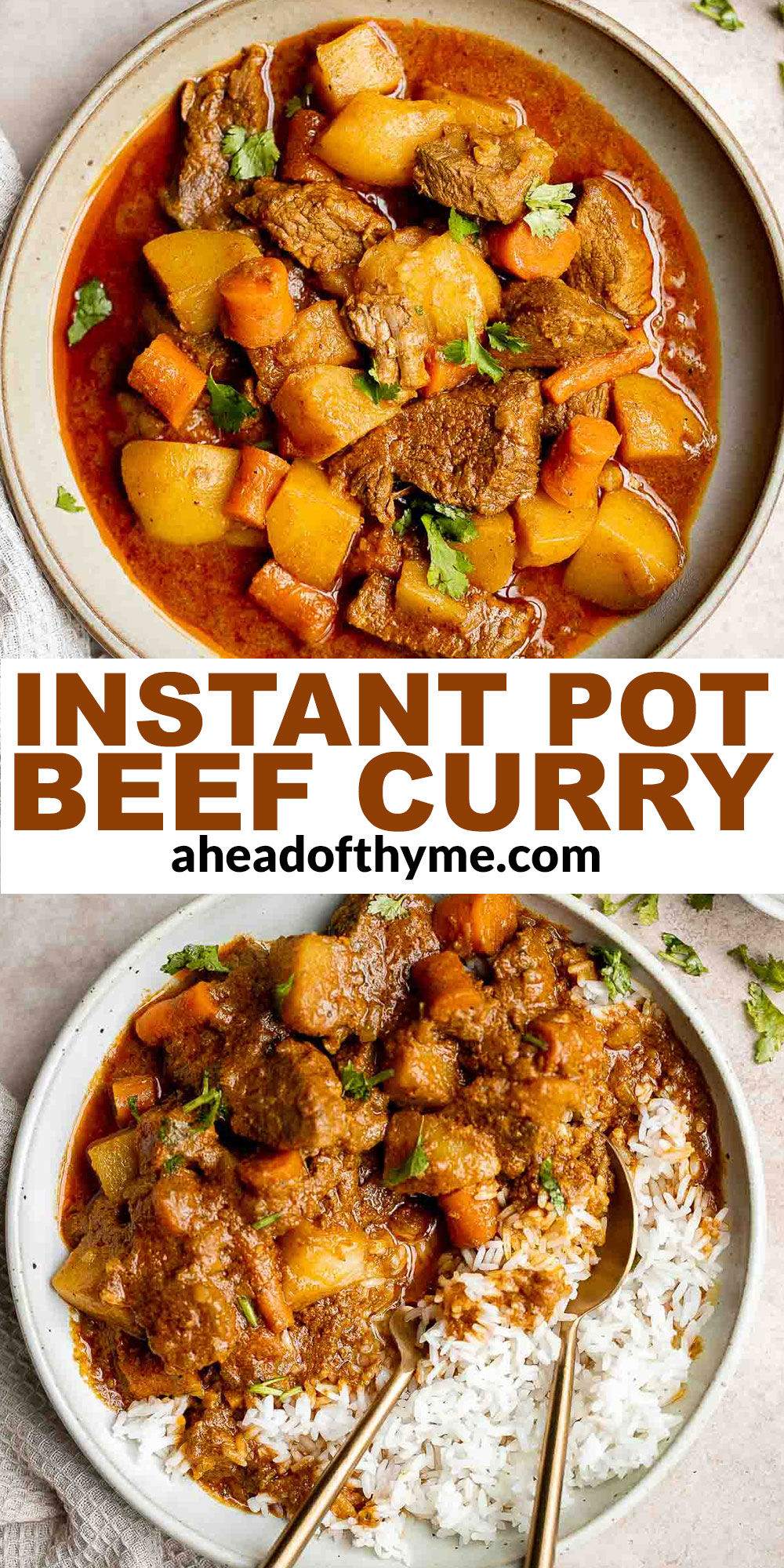Instant Pot Beef Curry