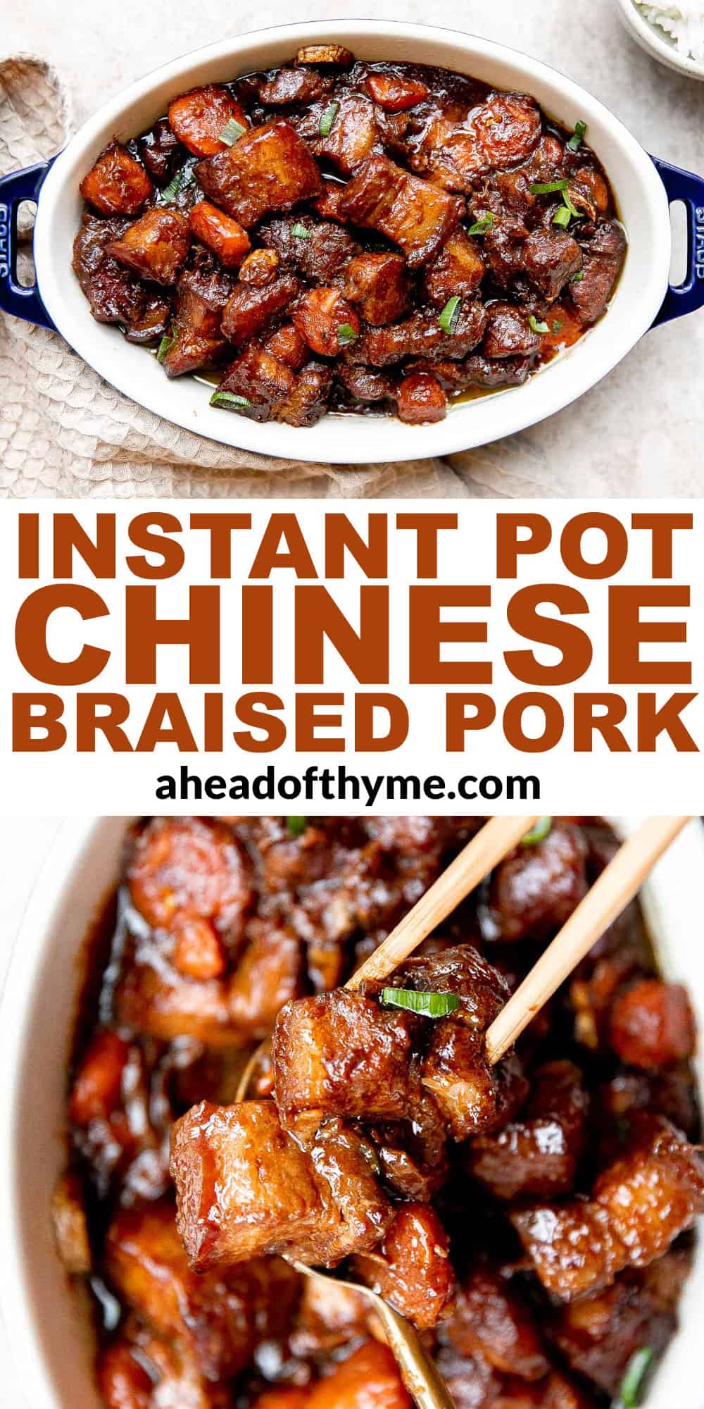 Instant Pot Chinese Braised Pork