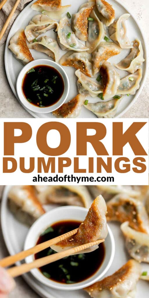 Homemade pork dumplings are quick and easy to make, with perfect crispy bottoms and a tender, juicy pork filling inside.​ Easy to meal prep and freeze well. | aheadofthyme.com