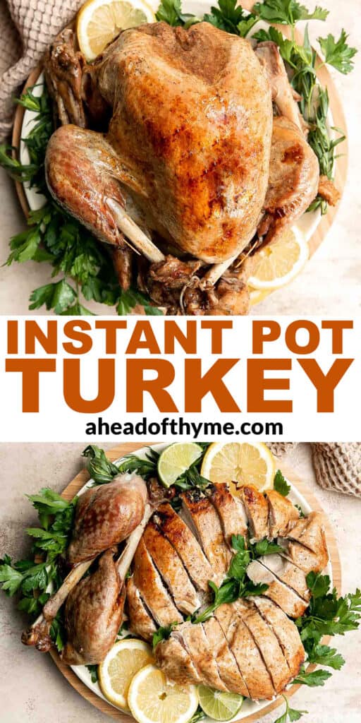 Instant Pot Whole Turkey with Crispy Skin - The Foodie Eats