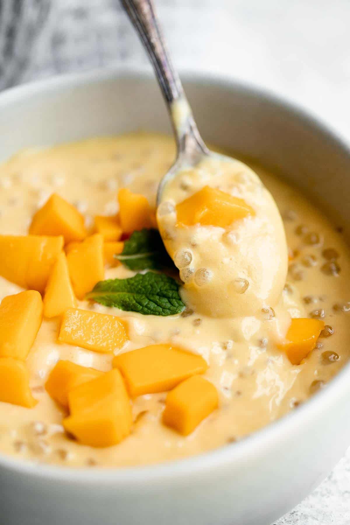 Mango sago is a popular Asian dessert that’s creamy, fruity, cold tapioca pudding dessert is easy to make at home with just a few simple ingredients. | aheadofthyme.com