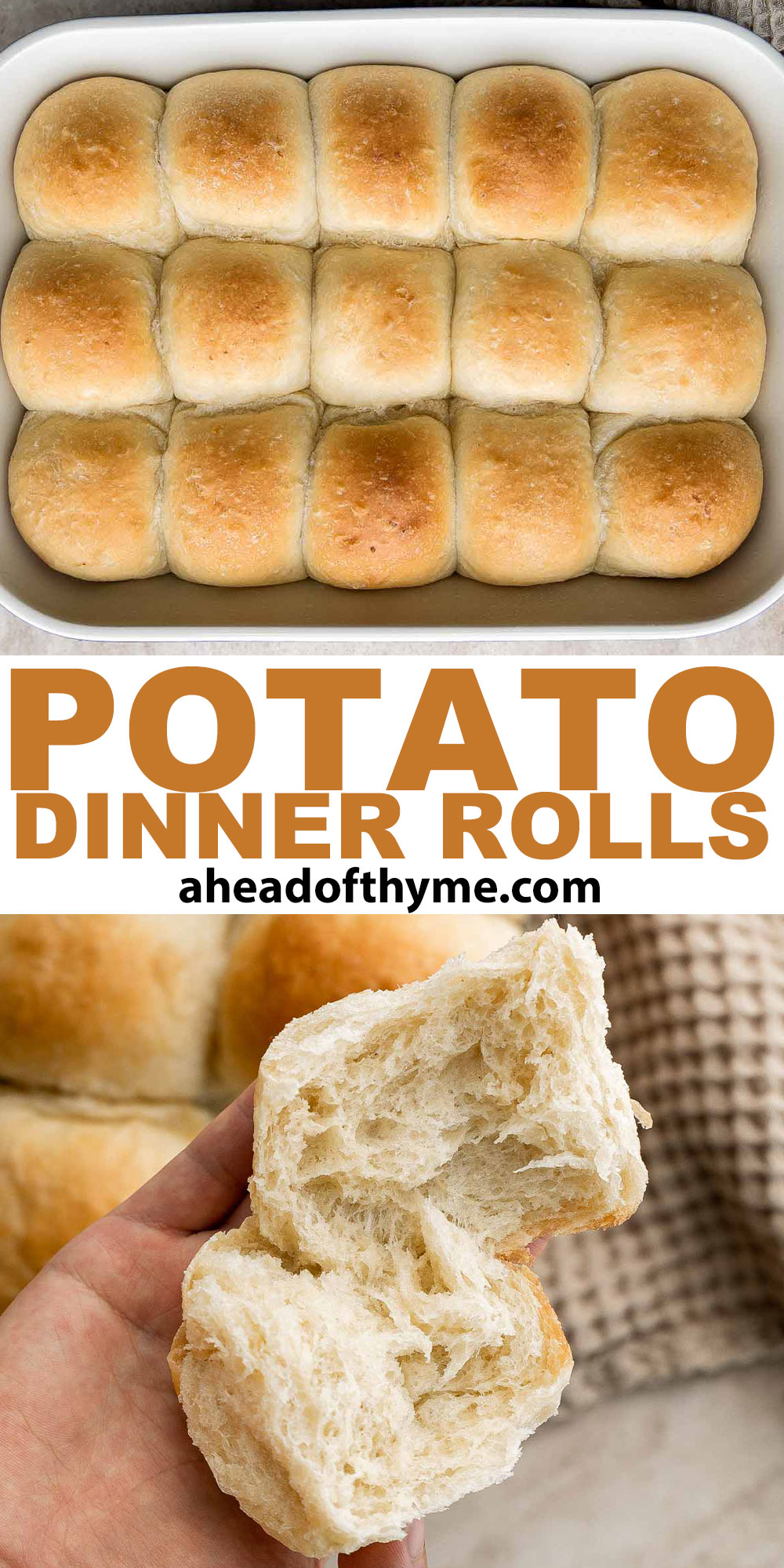 Potato Dinner Rolls