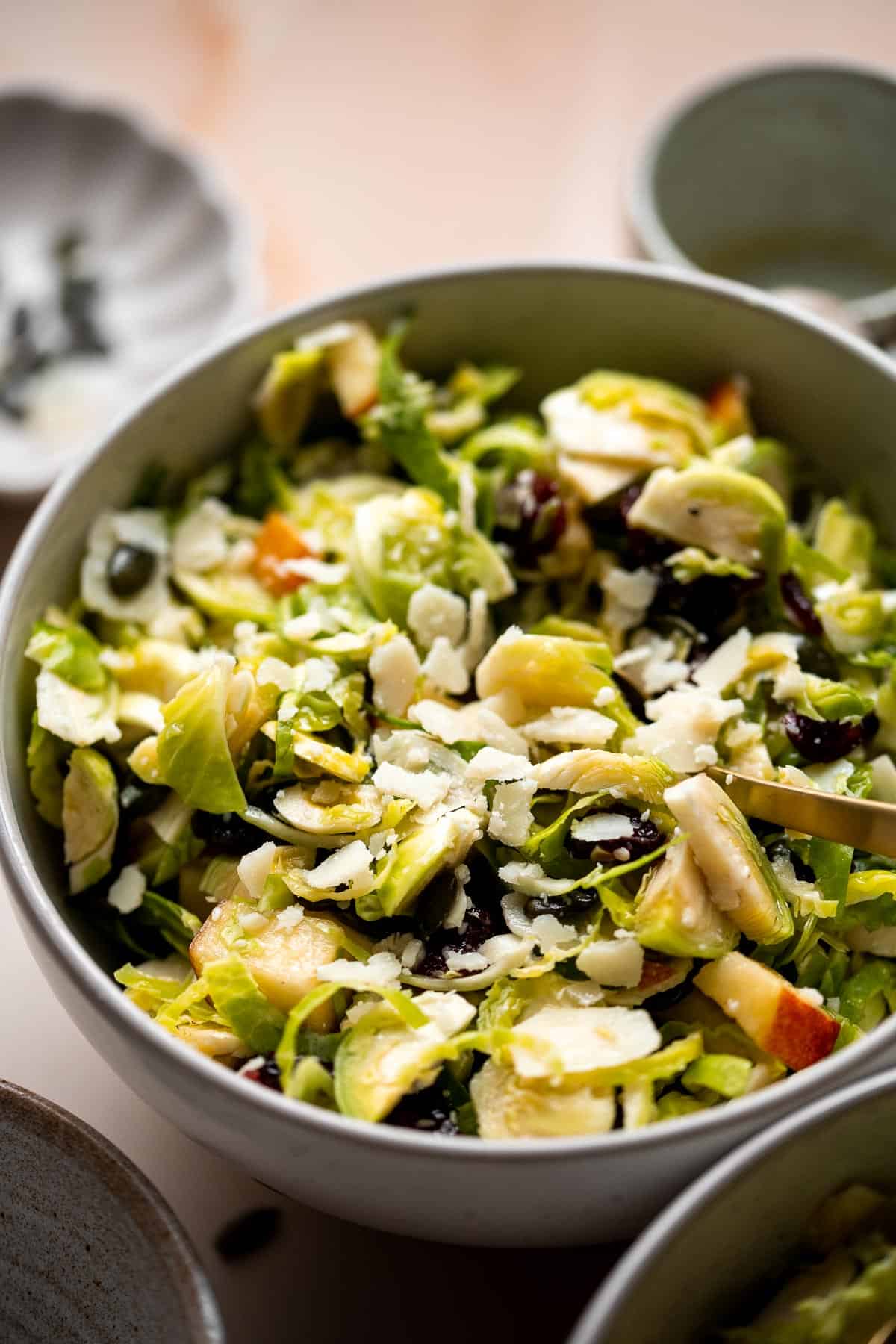 Shaved Brussels Sprout Salad is a delicious fall salad packed with fresh sprouts, apples, cranberries, and crunchy seeds, tossed in a homemade vinaigrette. | aheadofthyme.com