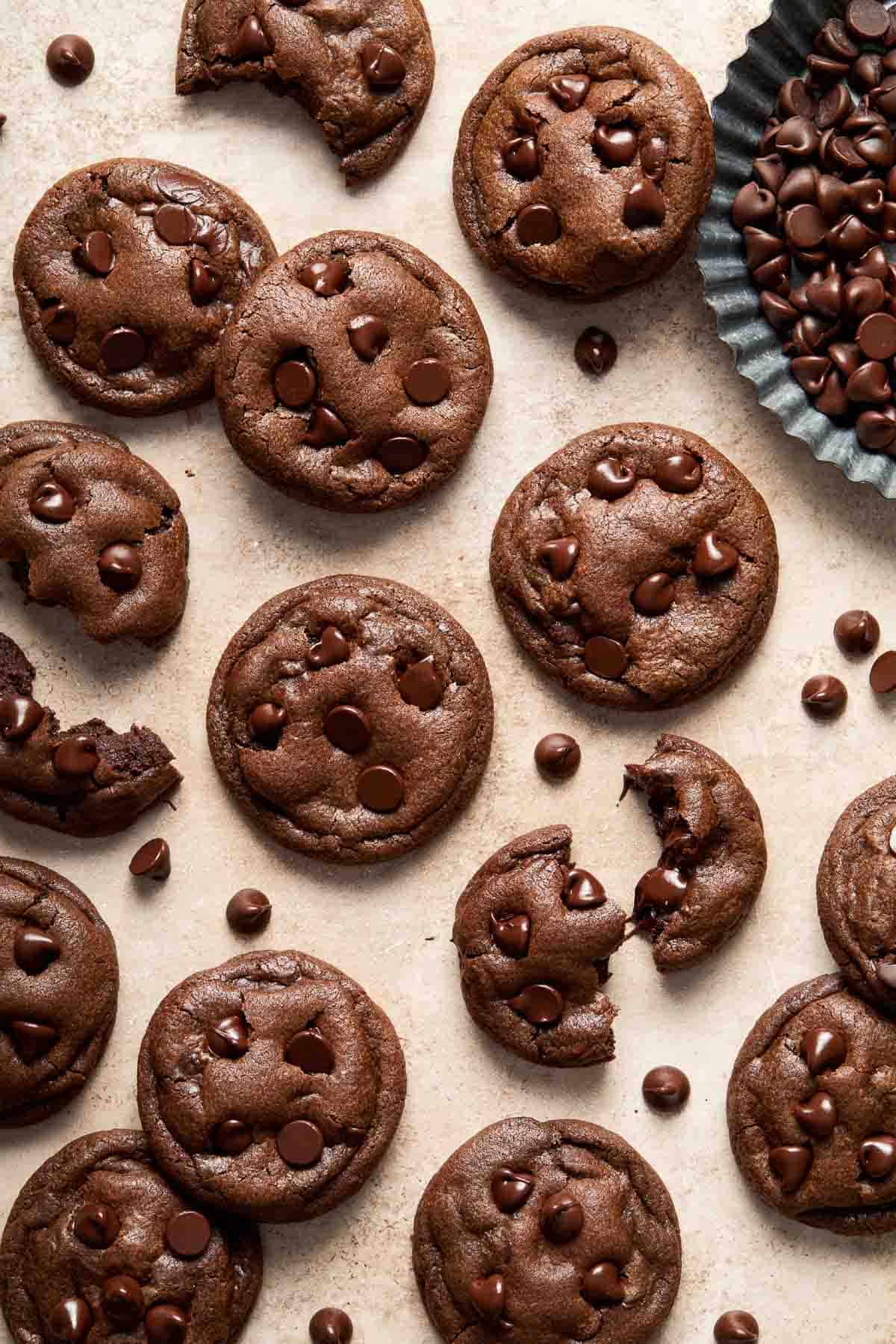 Double Chocolate Chip Cookies are soft and chewy, easy to make, and so satisfying. Enjoy these cookies in under 20 minutes with no chilling required! | aheadofthyme.com