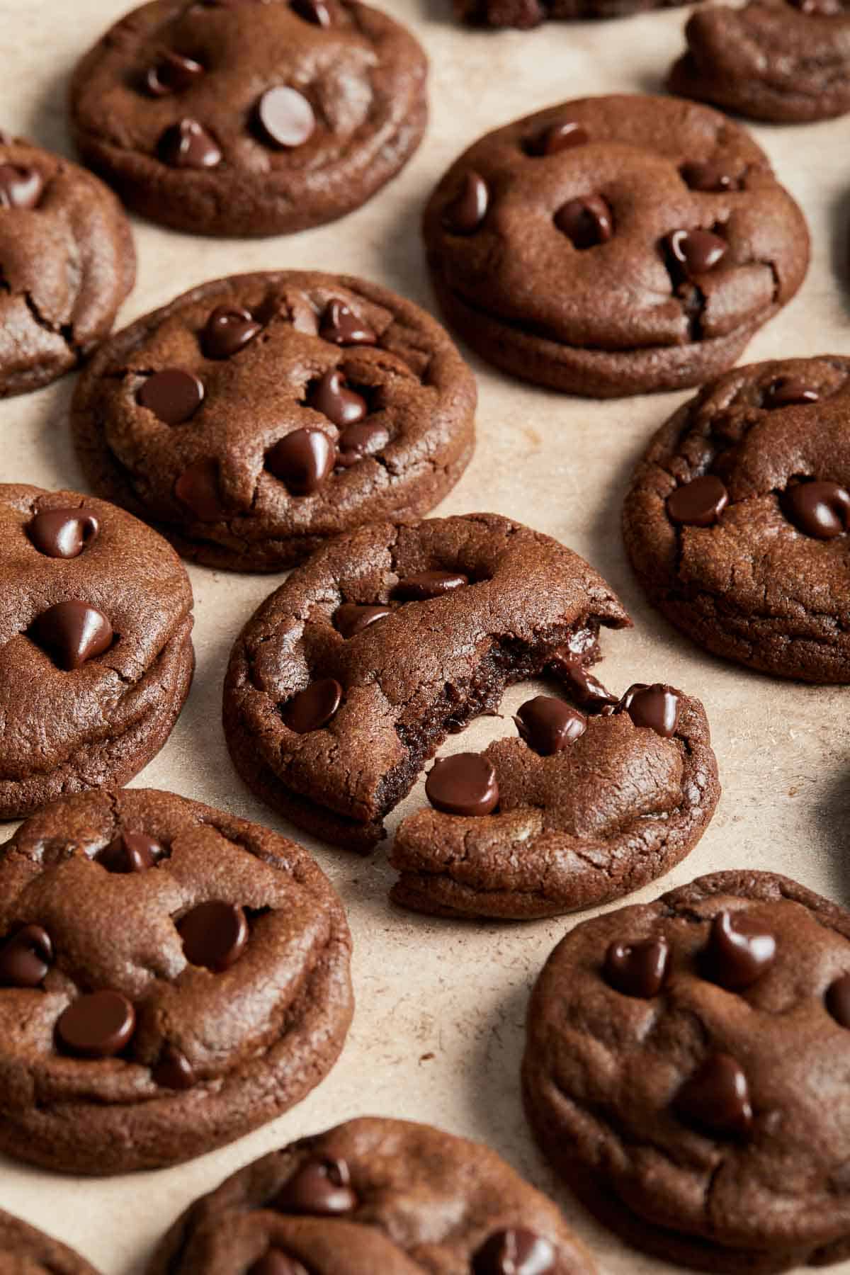 Double Chocolate Chip Cookies are soft and chewy, easy to make, and so satisfying. Enjoy these cookies in under 20 minutes with no chilling required! | aheadofthyme.com