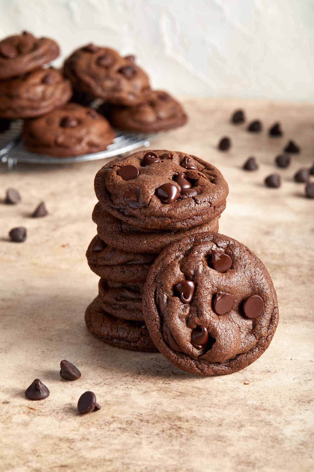 Double Chocolate Chip Cookies are soft and chewy, easy to make, and so satisfying. Enjoy these cookies in under 20 minutes with no chilling required! | aheadofthyme.com